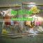 Beef Jerky automatic packaging machine