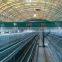 Hot Sale Automatic Broiler Chicken Feed