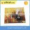 Colorful Picture Printed Microfiber Spectacle Cleaning Cloth Quality Choice