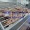 CE and ISO Certification New Condition Meat Mincer Machine