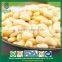 Bulk Popular Fast Food Organic Korean Pine Nut Kernels
