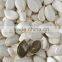 New Crop good price Snow White Pumpkin seeds and kernels