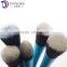 New Style 5pcs Wholesale Custom Plastic Handle Makeup Brush Set