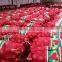 fresh onion on sale in this hot season before new year with high quality and reasonable price