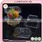 Disposable clear plastic ice cream container size