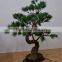 Waterproof Led Bonsai Cedar tree light