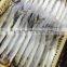 Frozen Seafoods Spanish Mackerel Frozen On Board
