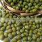 mung beans