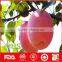 Fresh fuji apple hot sale in China at cheap price