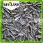 sunflower seed ton price Chinese