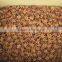 STAR ANISEED (SKYPE: VISIMEX05; 0084948425455 VIBER- WHATSAPP- ZALO- WECHAT)