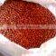 EXPORTER OF INDIAN BOLD PEANUT KERNEL 50/60