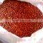 RED SKIN BOLD PEANUT / GROUNDNUT KERNEL 38/42