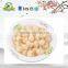 2016 seasonal fresh canned longan wholesale