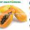 100% natural juice concentrate powder papaya powder