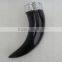 Drinking Horn
