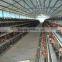Chicken Egg Layer/Laying Cages/Coops
