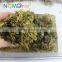 Nomo High quality Terrarium Moss - Reptile substrate 250g NC-01