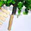 pet care products pet brush wood dog comb in 2016