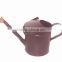 Metal watering can, flower water can, decorative metal waterning can, small metal waterning can, galvanized flower watering can,