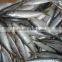 sdn bhd of sardine