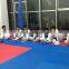 Floor Puzzle Mats Martial Arts Mats EVA Taekwondo Workout Mat