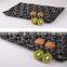 Chinese gold manufacturers plastic Fruit Tray with cells