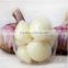 Chinese purple white garlic for wholesale