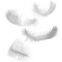 Washed White Duck Feather