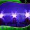Winter Beautiful Inflatable Lighting Snowflakes , Outdoor Inflatable Christmas Decoration LED Snowflakes Balloon Model