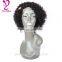 Brazilian Curly Lace Front Human hair Wig Glueless Full Lace Wigs With Baby Hair Short Curly Kinky Curly Full Lace Wigs