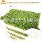 Big output 500kg daily fodder sprouting machine for barley / alfalfa