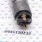 ERIKC BOSH 0445120232 car fuel pump injector 0 445 120 232 Automobile Engine parts 0445 120 232 for DongFeng