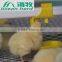 Automatic poultry watering system for chickens