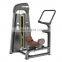 LZX-1014 Rotary Torso/Hot Sale Commercial Gym Equipment