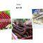 vegetable dryer / vegetable drying equipment