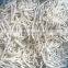 Sinocharm BRC Certified  High Quality Frozen Burdock Strip for Japan Market