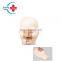 HC-S553 Medical Teaching Advanced nasal bleeding model/Nasal Hemorrhage Simulator Training Medical Model