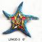 Hot sale sea star shaped wall hanging for home decoration