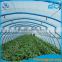 greenhouse plastic white transparent film for vegetable,flowers,mushrooms,animals, pigs,chicken                        
                                                Quality Choice