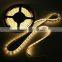 warm white 120led/s 3528 2700k led strips 5m/roll made in shenzhen