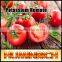 Huminrich High Active For Plants Under All Conditions 60%Ha+8%K2O Potassium Humate Soil Amendments