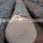 White birch logs, Baltic Birch logs, log,Latvia Birch logs for sale