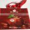 Hallowmas non woven gifts laminated bag with silk string