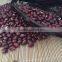 Chinese Adzuki Beans for Europ
