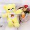 Promotional Custom  Wholesale Mini Graduation Teddy Bear