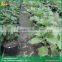 Sawtooth type vegetable greenhouse glass greenhouse