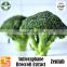 Natural Plant Extract 10% Sulforaphane HPLC Broccoli Powder