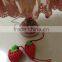 Custom design 190T polyester foldable bag,folded nylon shopping bag,strawberry bag