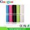 Guoguo 2A Output Dual Ports LED Torch Lights Portable Vivan Power Bank 12000 Mah